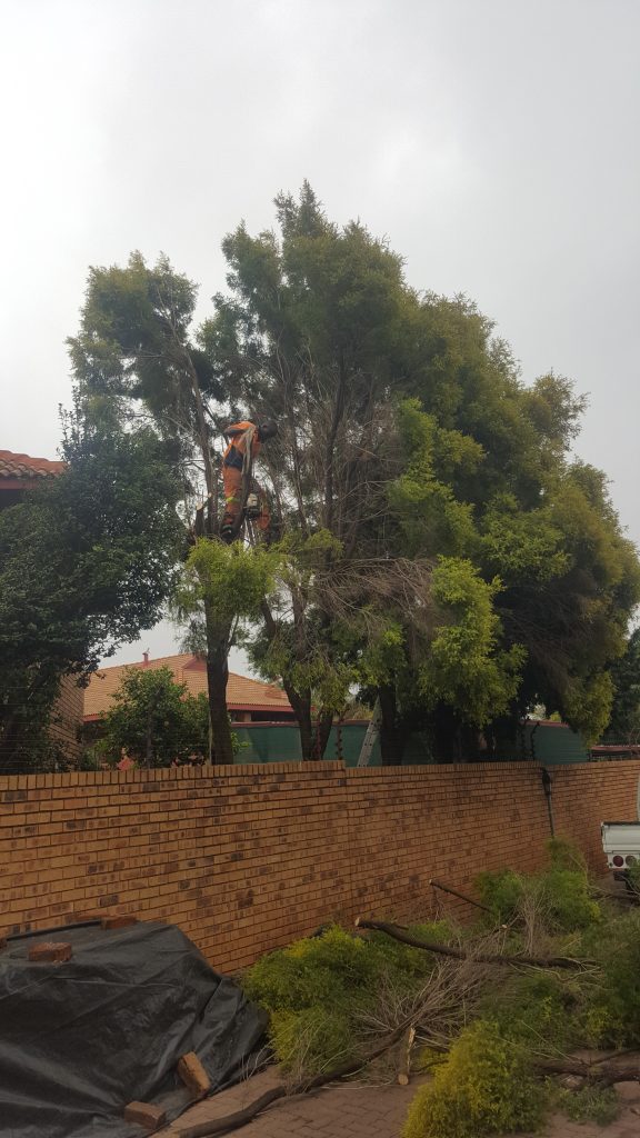 Trimming